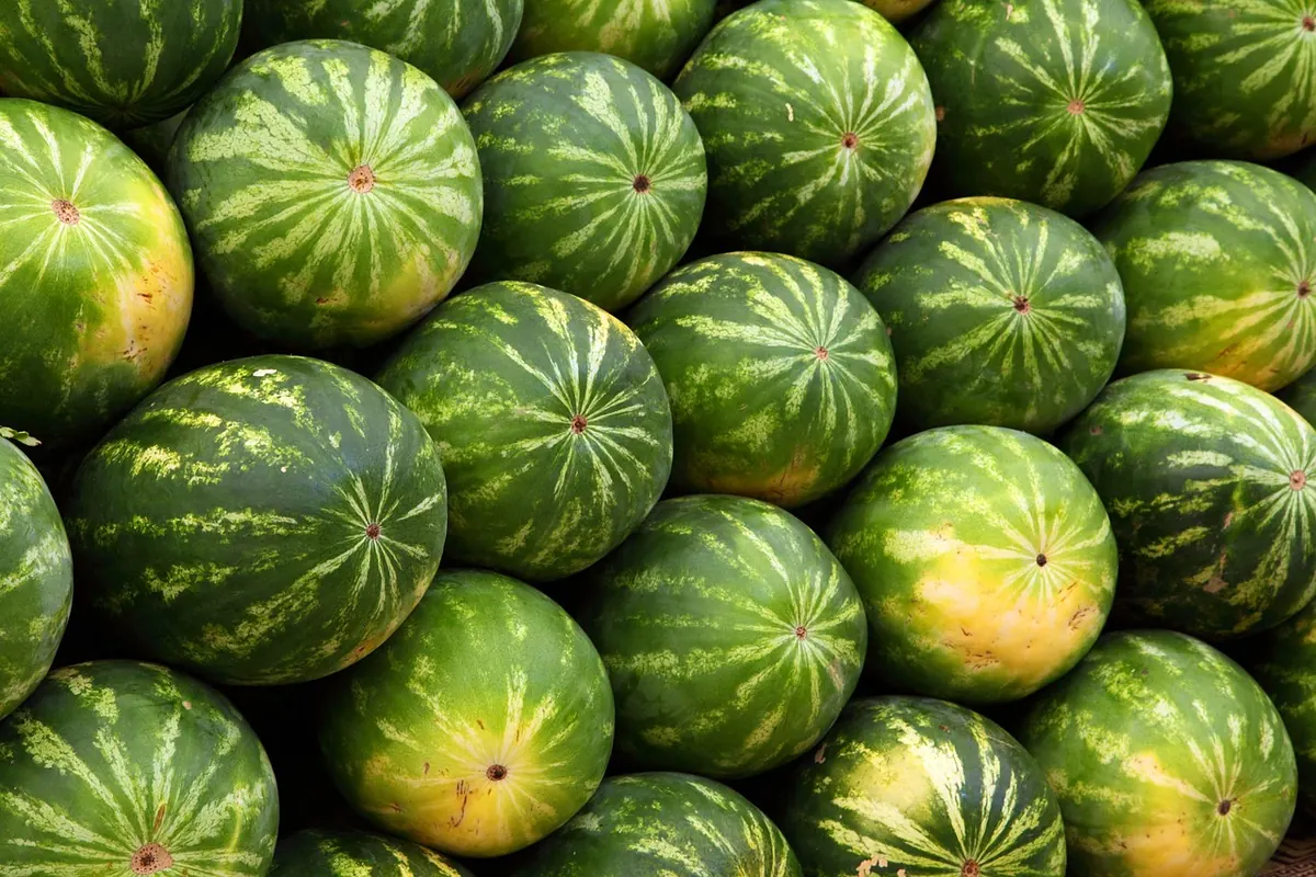 Comparing Borough Farmers Markets: Weekday vs. Weekend Options
